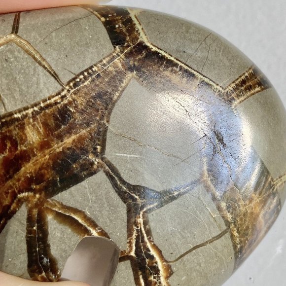 Septarian Nodule Crystal Carved Stone Bear Zuni Fetish - Picture 7 of 9